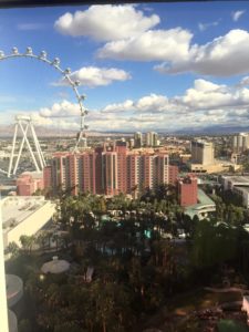 The view from #RadixPRLounge CES 2016.